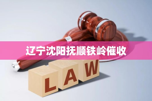 辽宁沈阳抚顺铁岭催收