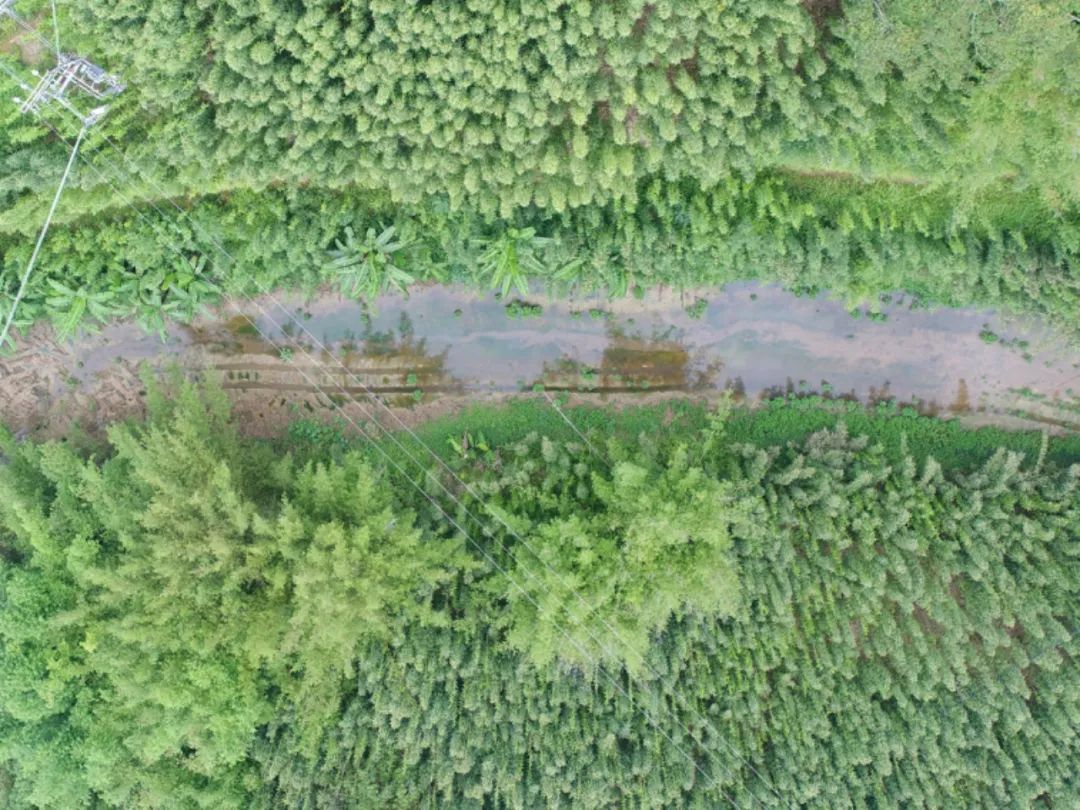 某水库整改后。图源怀集检察