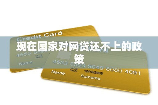 现在国家对网贷还不上的政策