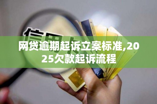 网贷逾期起诉立案标准,2025欠款起诉流程