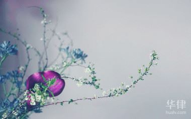 商标编号如何查询真假