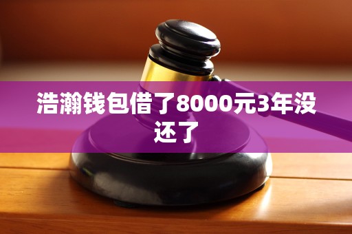 浩瀚钱包借了8000元3年没还了