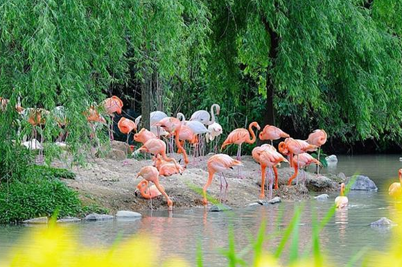 宁波野生动物园