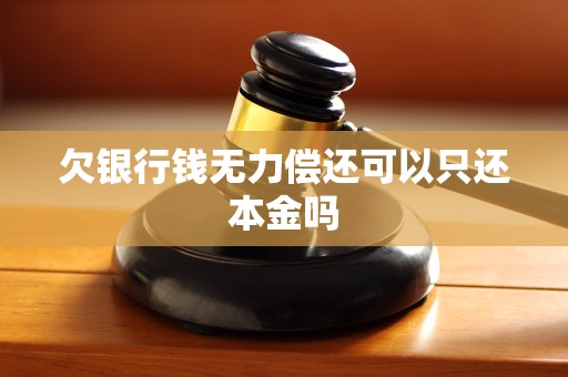 欠银行钱无力偿还可以只还本金吗