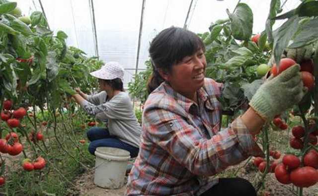 40个适合穷人小本生意赚钱门路的成功案例推荐