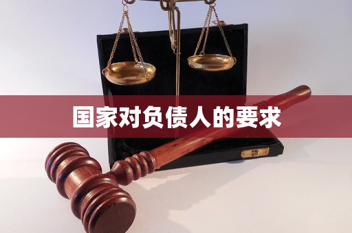 国家对负债人的要求
