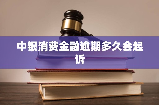 中银消费金融逾期多久会起诉