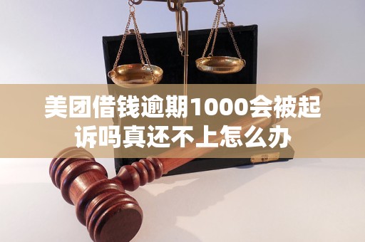 美团借钱逾期1000会被起诉吗真还不上怎么办