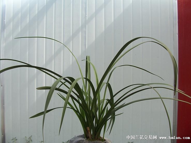 点击图片在新窗口浏览原图