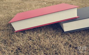 保证合同无效的情形主要有哪些