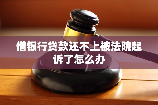借银行贷款还不上被法院起诉了怎么办