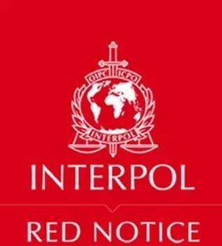 看《人民的名义》学英语:这些反腐话题用英文怎么说?