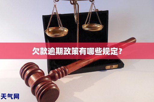 欠款逾期政策有哪些规定?