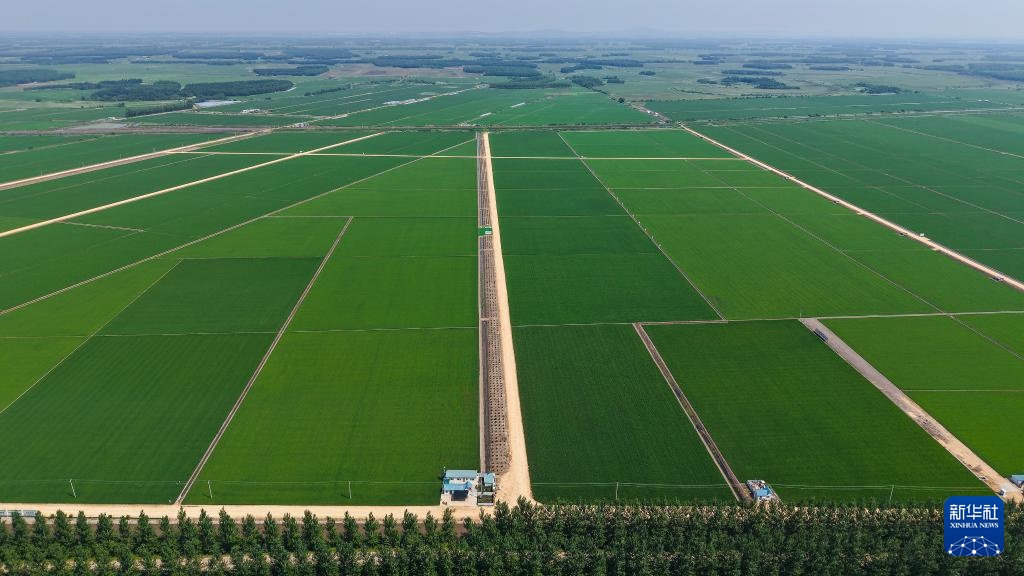 黑龙江垦区：“用养结合”保护黑土地