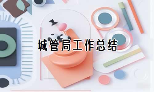 城管局工作总结