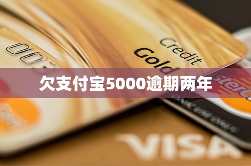 欠支付宝5000逾期两年
