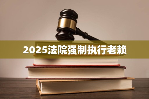 2025法院强制执行老赖