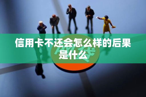 信用卡不还会怎么样的后果是什么