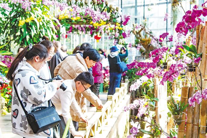 新春走基层 | 福满荆楚过大年