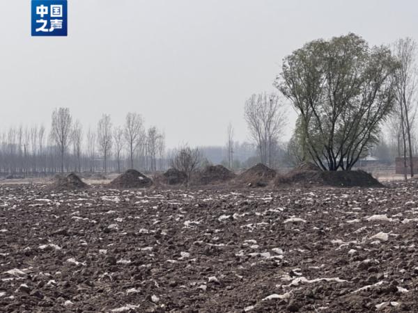 河北多地“散埋乱葬”问题突出，如何治理？