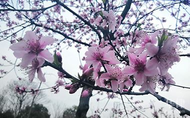 交通事故中陪护人误工费怎么算?