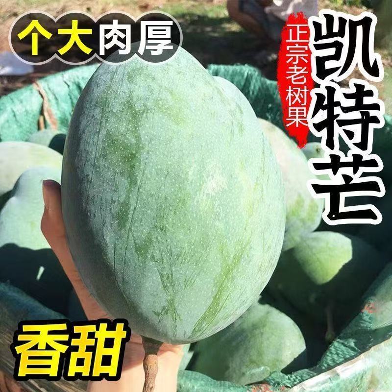 攀枝花凯特芒:芒果界的新贵为何一骑绝尘?