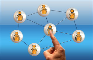 离婚法律建议,你真的了解吗?,离婚法律建议,你了解多少?