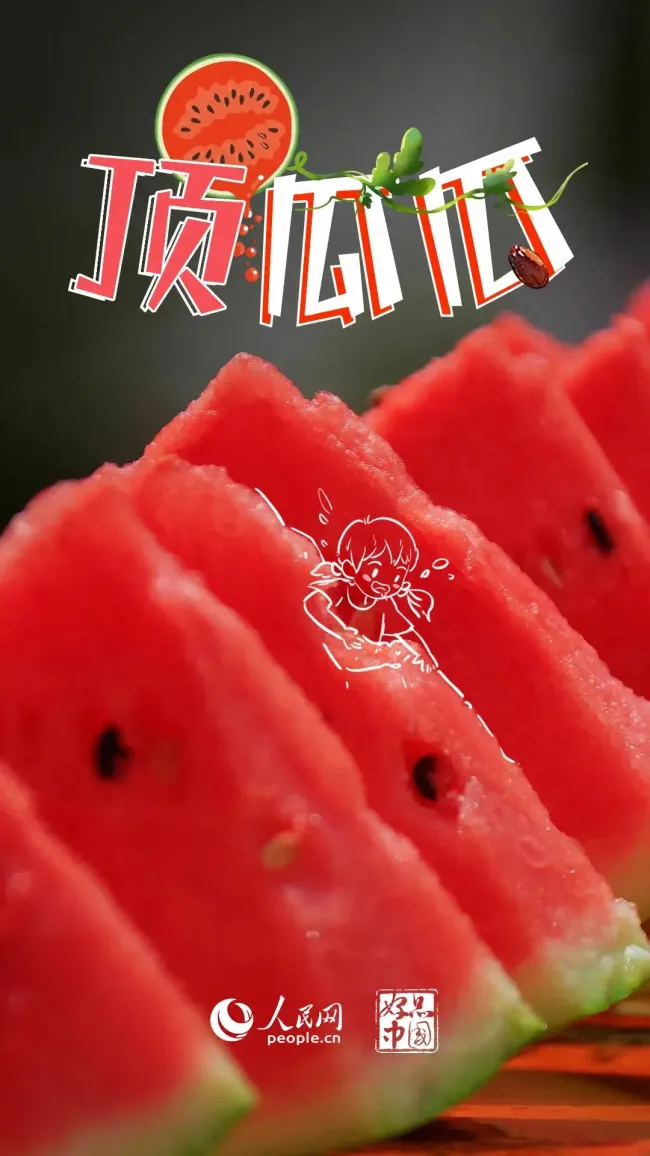 全国西瓜“大摸底”