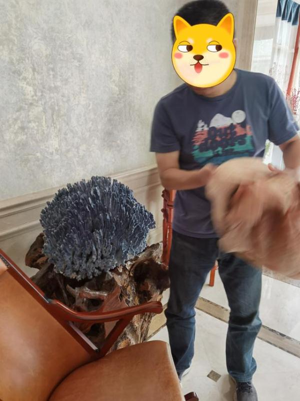 涉案百万！警方最新破获！