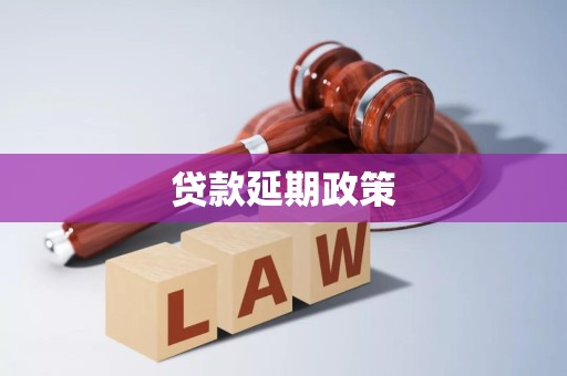 贷款延期政策