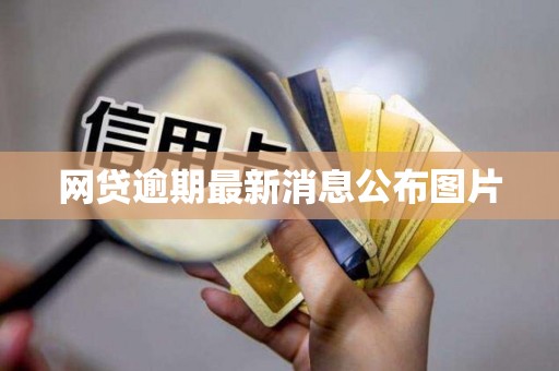 网贷逾期最新消息公布图片