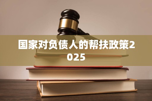 国家对负债人的帮扶政策2025