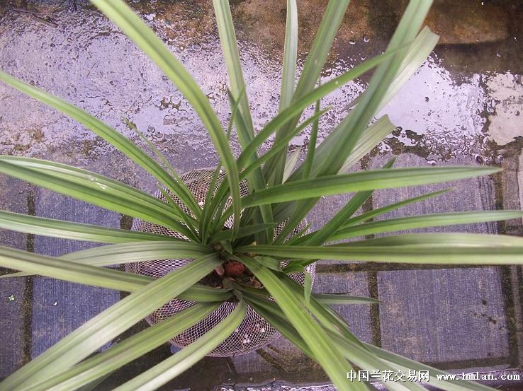 点击图片在新窗口浏览原图