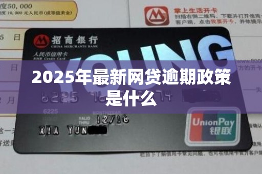 2025年最新网贷逾期政策是什么
