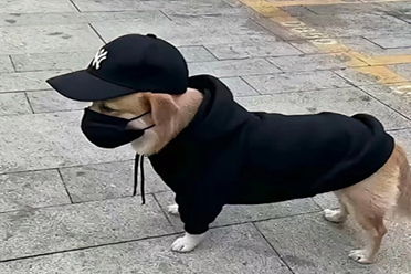 全网入侵，谁才是互联网赛级嘉豪