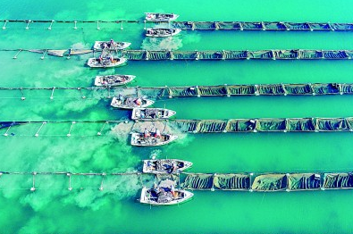 海水更清、海滩更净、湿地更美……