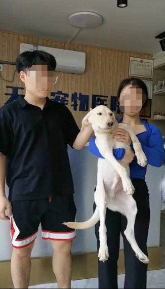 失主领回自己丢失的宠物狗