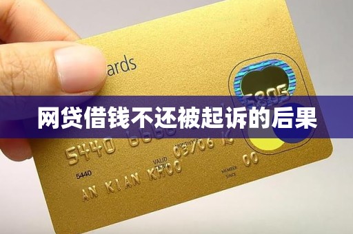 网贷借钱不还被起诉的后果