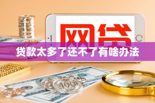 贷款太多了还不了有啥办法