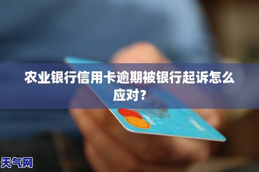 农业银行信用卡逾期被银行起诉怎么应对?
