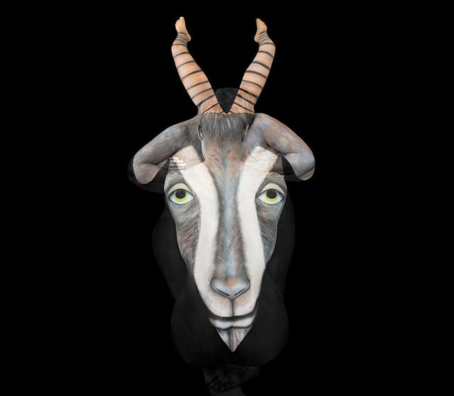 逆天人体彩绘将美女与自然融为一体 超强伪装考验你眼力