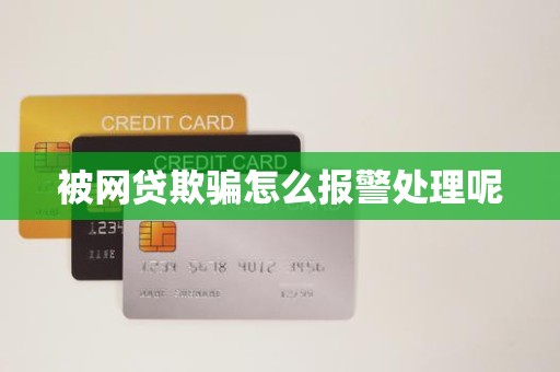 被网贷欺骗怎么报警处理呢