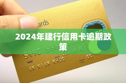 2024年建行信用卡逾期政策
