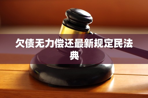 欠债无力偿还最新规定民法典