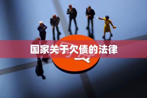 国家关于欠债的法律