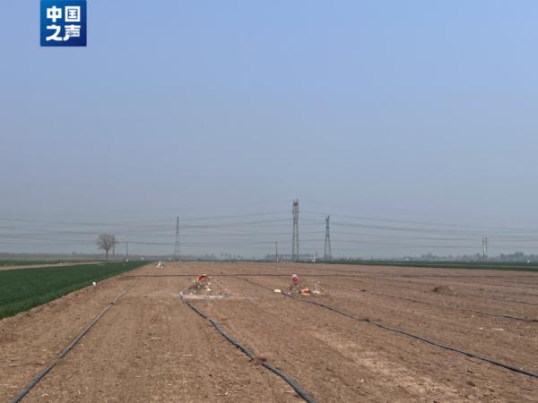 河北多地“散埋乱葬”问题突出，如何治理？