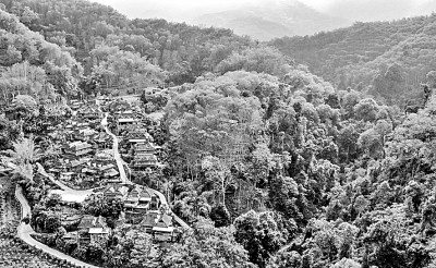 与象比邻,共享绿色家园——云南探索人与自然和谐共生的现代化样本