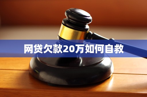 网贷欠款20万如何自救