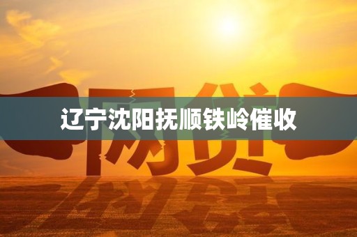 辽宁沈阳抚顺铁岭催收