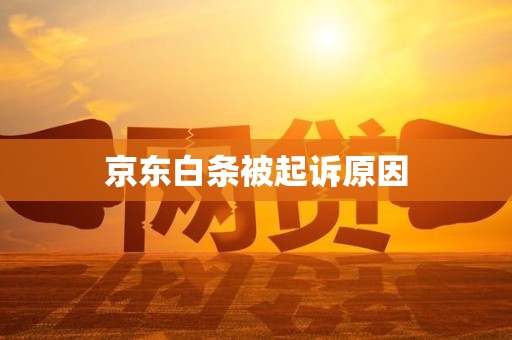 京东白条被起诉原因